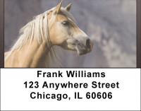 Horse Portraits Address Labels | LBQBC-65