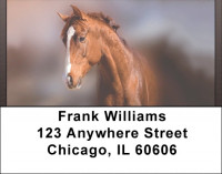 Horse Portraits Address Labels | LBQBC-65