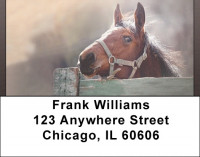 Horse Portraits Address Labels | LBQBC-65