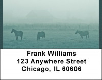 Horse Silhouettes Address Labels | LBQBC-66