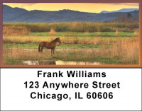 Sunset In The Foothills Address Labels | LBQBC-71