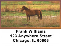 Sunset In The Foothills Address Labels | LBQBC-71