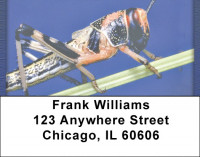 Grasshoppers Address Labels | LBQBC-77