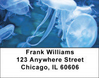 Jellyfish Jungle Address Labels | LBQBC-82