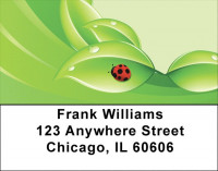 Dew Ladybugs Address Labels | LBQBC-84