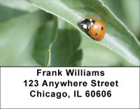 Ladybug Garden Address Labels | LBQBC-87