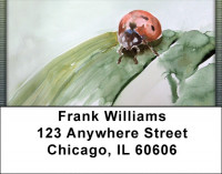 Ladybug In Watercolor Address Labels