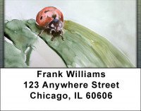 Ladybug In Watercolor Address Labels | LBQBC-88