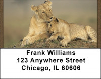Lions Up Close Address Labels