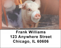 Pigs In A Tub Address Labels
