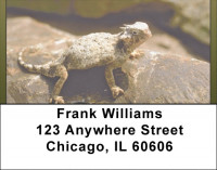 Horned Toad Address Labels