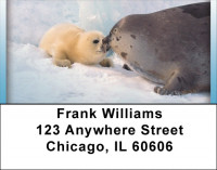 Baby Seals Address Labels