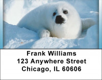 Baby Seals Address Labels | LBQBD-28