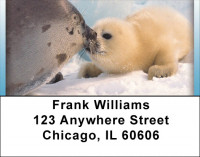 Baby Seals Address Labels | LBQBD-28