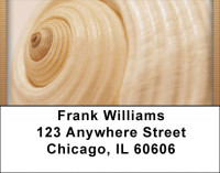 Seashell Closeups Address Labels
