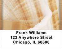 Seashell Closeups Address Labels | LBQBD-31