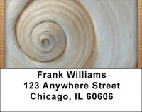 Seashell Closeups Address Labels | LBQBD-31