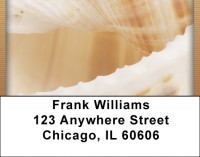 Seashell Closeups Address Labels | LBQBD-31
