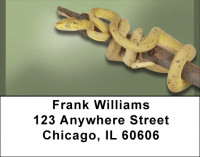 Slithering Reptiles Address Labels | LBQBD-35