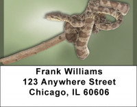 Slithering Reptiles Address Labels | LBQBD-35