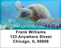 Sea Turtles Address Labels