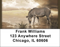 Zebra Fantasies Address Labels