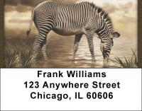 Zebra Fantasies Address Labels | LBQBD-46