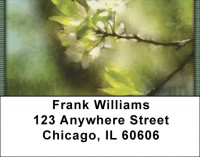Springtime Blossoms Address Labels | LBQBG-33
