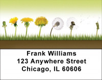 Life Cycles Address Labels
