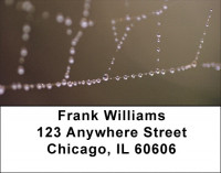 Dewy Webs Address Labels | LBQBH-94