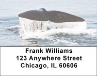 Fish Tales Address Labels | LBQBI-65