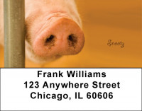 Snooty Address Labels | LBQBI-97