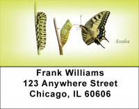 Transcend Address Labels | LBQBJ-26