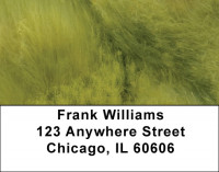 Green Softness Address Labels | LBQBM-40