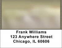 Daydreams Your Way Address Labels | LBQBN-70