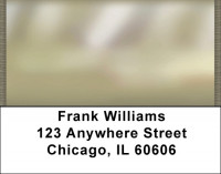 Daydreams Your Way Address Labels | LBQBN-70