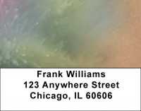 Soft Splatter Address Labels | LBQBN-79