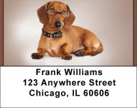Smart Dachshunds Address Labels | LBQBQ-93