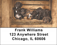 Dachshund Country  Address Labels | LBQBQ-94