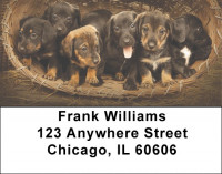 Dachshund Country  Address Labels | LBQBQ-94