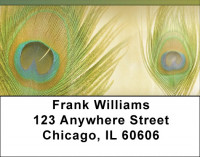 Dreamy Peacock Feathers  Address Labels