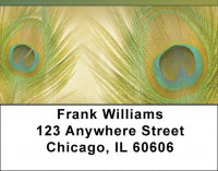 Dreamy Peacock Feathers  Address Labels | LBQBR-09