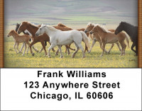 Horses On High Plains Address Labels | LBQBR-18