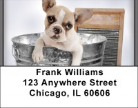 Boxer Bathtime Address Labels | LBQBR-33