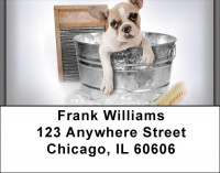 Boxer Bathtime Address Labels | LBQBR-33