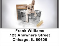 Boxer Bathtime Address Labels | LBQBR-33