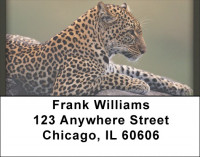 Cheetah Fun Address Labels | LBQBR-35