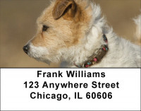 Fox Terrier Address Labels