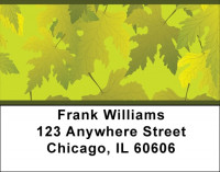 Leaves Of Gold Address Labels | LBQBS-17