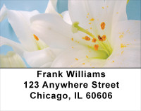 Symbols Of Faith Address Labels | LBREL-09